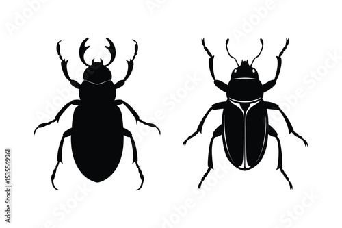 Beetle silhouette  vector illustration, Beetle silhouette  vector bundle 