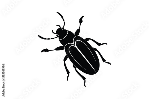 Beetle silhouette  vector illustration, Beetle silhouette  vector bundle 