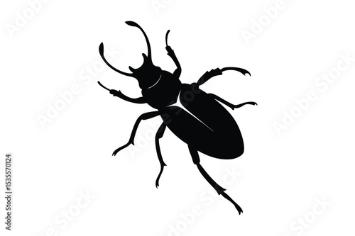 Beetle silhouette  vector illustration, Beetle silhouette  vector bundle 