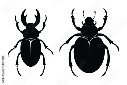 Beetle silhouette  vector illustration, Beetle silhouette  vector bundle 