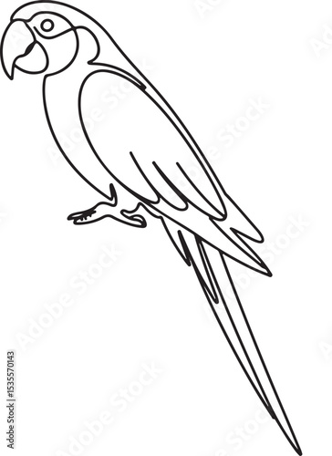 continuous line drawing of a parrot perched in side profile with long tail and curved beak on white background