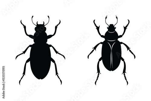 Beetle silhouette  vector illustration, Beetle silhouette  vector bundle 