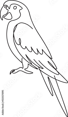 continuous line drawing of a parrot perched in side profile with long tail and curved beak on white background