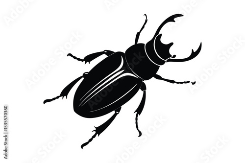 Beetle silhouette  vector illustration, Beetle silhouette  vector bundle 