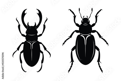 Beetle silhouette  vector illustration, Beetle silhouette  vector bundle 