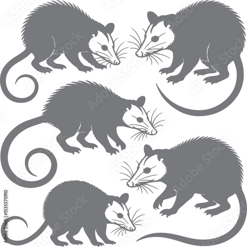Gray Opossum Silhouettes Set Curled Tails Wildlife Animal Designs Graphic Illustrations Mammal Fauna Nature