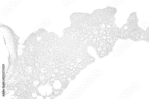 Foam bubbles in white colour isolated png transparency