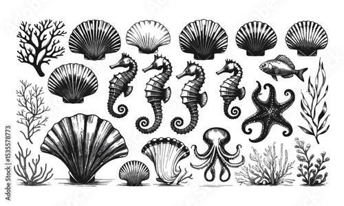  Vector illustration inspired by a detailed hand-drawn marine life collection, seaweed, seashells, tropical fish, seahorses, sea stars, jellyfish, octopus, and marine plants, easily editable.