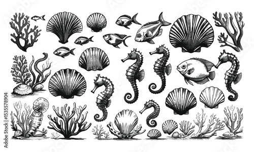  Vector illustration inspired by a detailed hand-drawn marine life collection, seaweed, seashells, tropical fish, seahorses, sea stars, jellyfish, octopus, and marine plants, easily editable.