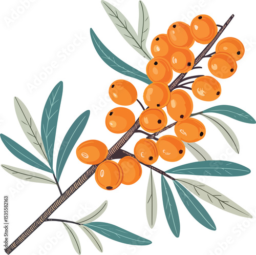 branch of a tree