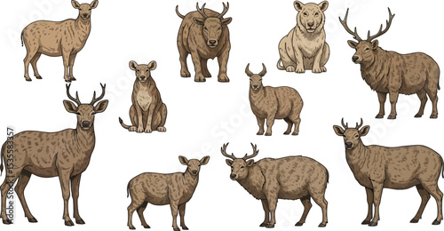 A collection of various deer and similar animals in different poses on a white background art style