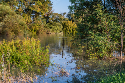Sunset on a flooded river. flooded area, floodplain