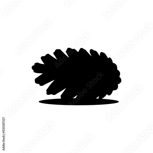 Pinecone Lying on Forest Floor Natural Woodland Scene with Pinecone Detail