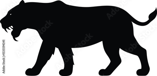 Fierce black silhouette of a saber toothed tiger walking showing aggression and power