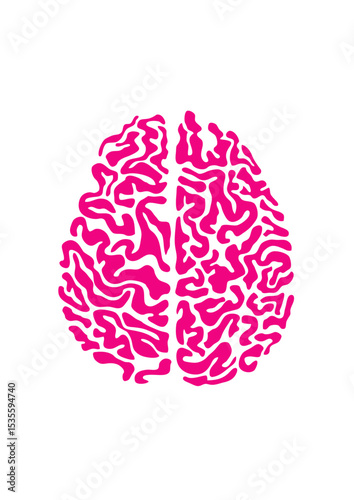 cerveau cervelle vue dessus