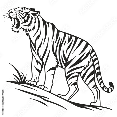 Roaring tiger illustration in black and white depicting a powerful and striking wild animal