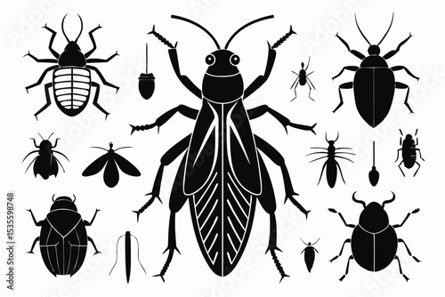 Silhouetted insects and bugs vector illustration set on a white background for design use.