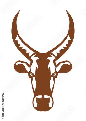 zebu taureau animal sauvage