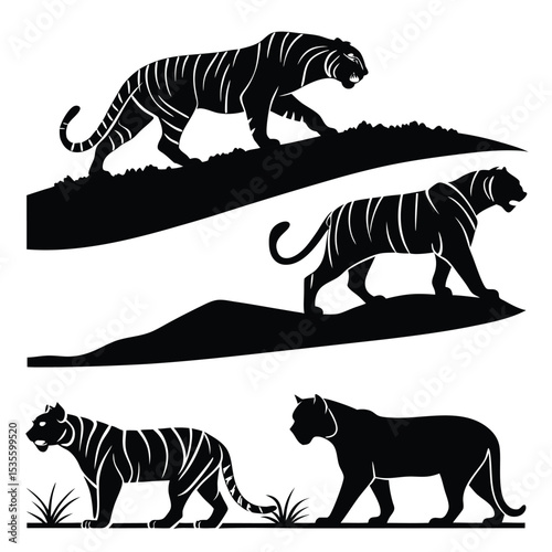 Silhouette illustrations of tigers in various poses walking and strolling across grassy terrain