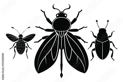 Vector illustration of insects in monochrome silhouettes on a clean white background