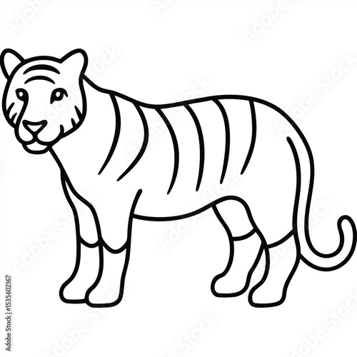 Simple black and white illustration of a standing tiger showing body details and stripes