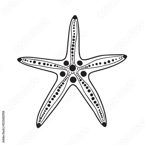 Detailed Starfish Illustration with Black Dots and Outlines on White Background Minimalist Silhouette detailed starfish illustration