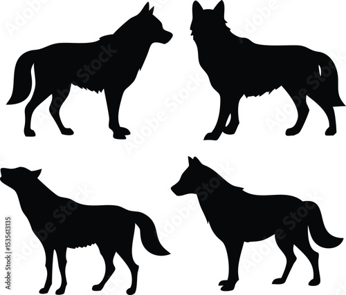 Silhouette illustration of four wolves in different poses for design and educational purposes