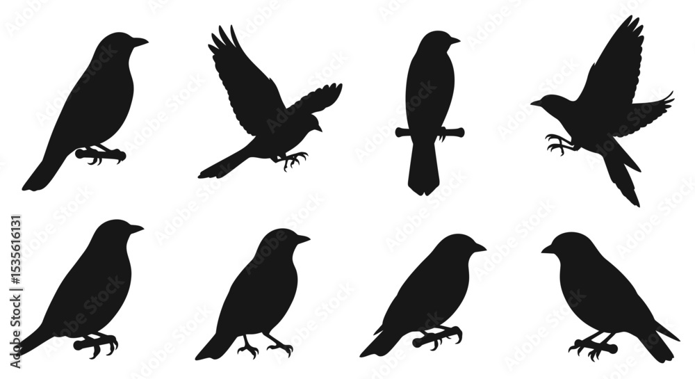Obraz premium Collection of Bird Silhouettes Vector Graphics for Design Projects