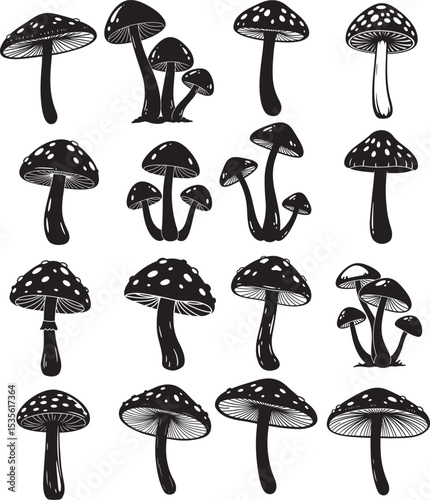 vector illustration of mushrooms