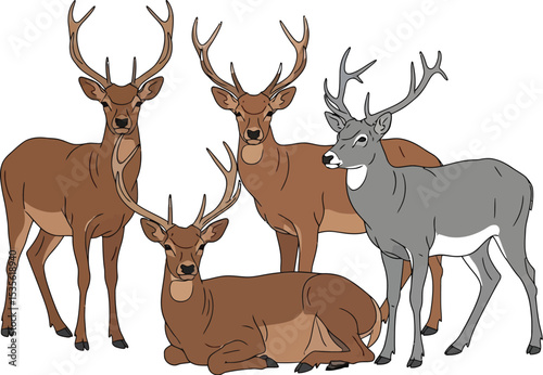 A group of four brown deer and one gray deer standing and lying down on a white background scene art