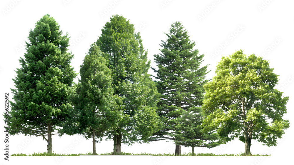 Fototapeta premium Diverse group of lush green trees isolated on a transparent background perfect for creative projects and nature focused designs