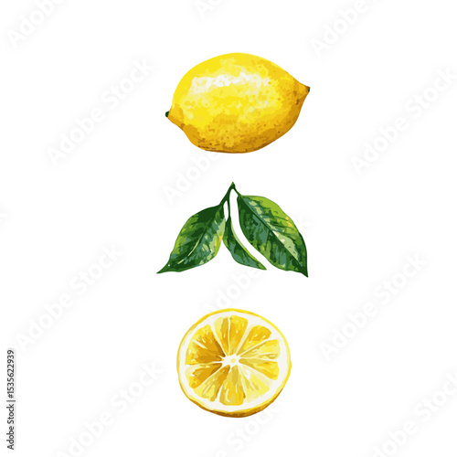 Lemon cut slices vector set, Whole, half and slice chopped lemon fruit flat collection