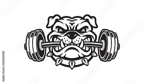 Illustration of an angry bulldog with a dumbbell in his teeth. Vector illustration