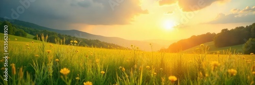 Serene landscape of a sun-drenched meadow, bathed in golden light, evokes a sense of divine peace and tranquility Perfect for concepts of spirituality, nature, and hope , divine, calm, sacred