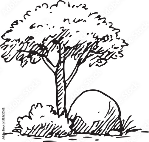 This hand-drawn black-and-white sketch depicts a lush, rounded tree with dense foliage, ideal for nature-themed designs, illustrations, or landscaping art. Its organic shape and detailed leaves 