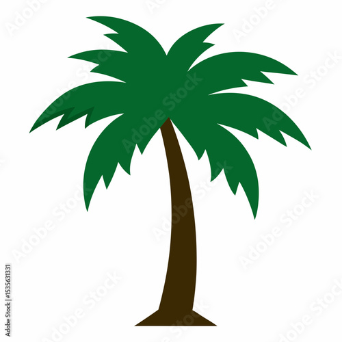 palm tree vector