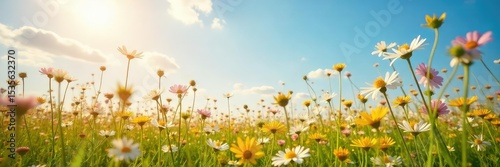 A sun-drenched field of wildflowers swaying gently in the breeze, embodying pure joy and serenity Perfect for themes of peace, optimism, and wellbeing , green, abundance