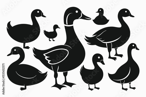 Black silhouette illustration of ducks and ducklings in various poses isolated on white background