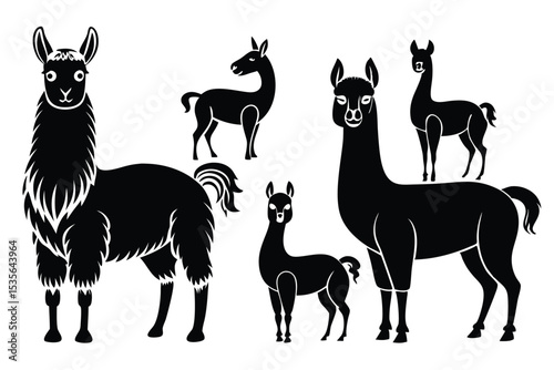 Vector illustration of several black silhouetted llamas in various poses on white background