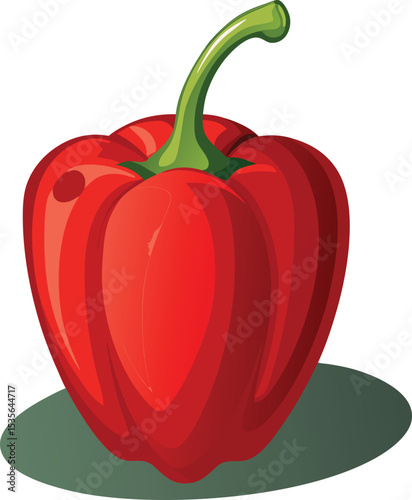 vector illustration of red pepper