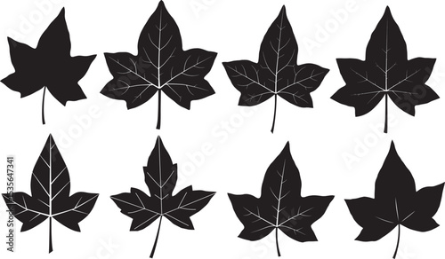 Modern ivy leaf silhouette vector illustration