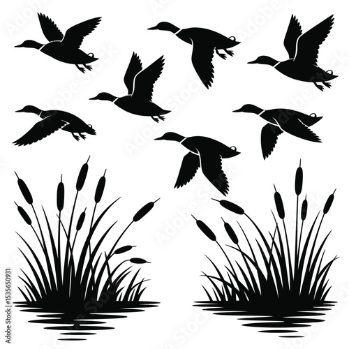 Flying Ducks Silhouette with Cattails Nature Illustration