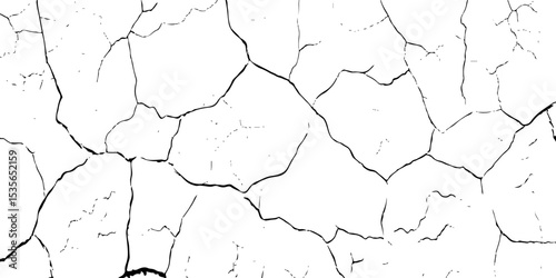"Cracked black and white surface texture, perfect for use in grunge design, vintage backgrounds, distressed overlays, or aged wall effects. High-contrast abstract pattern for creative projects"