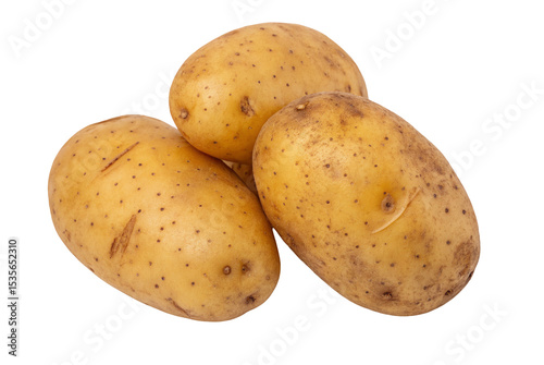 Find the best potatoes for sale yukon gold potatoes russet potatoes and red potatoes organic potatoes 100