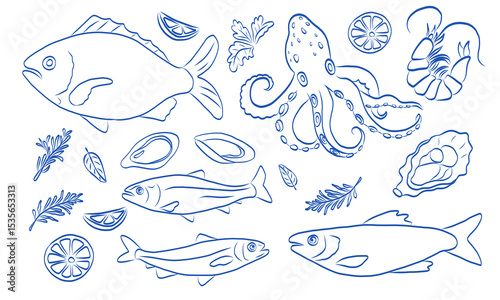Illustration of fish, octopus, and shellfish with related elements