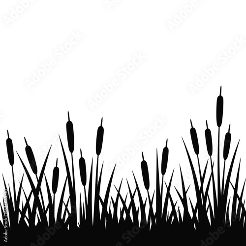 Silhouette of Cattails and Reeds in a Wetland