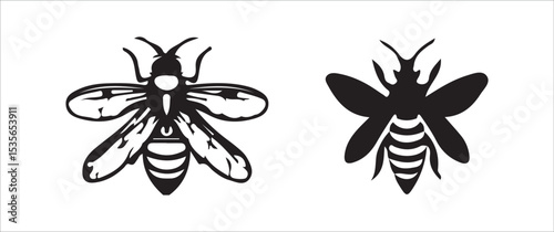 vector illustration of a butterfly