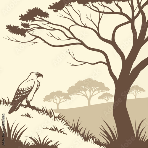  Eagle Perched in Savanna Landscape near Shatgara