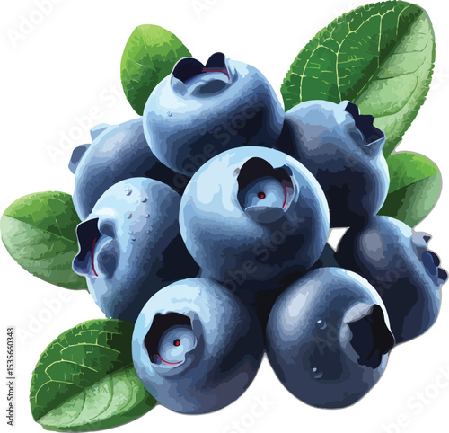 Freshly picked bunch of juicy blueberries with detailed green leaves on white background