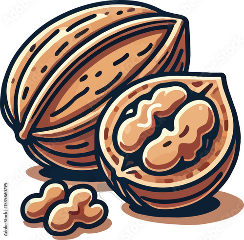 Illustrated vector of walnuts showcasing whole nut and sliced open kernel with a clean design